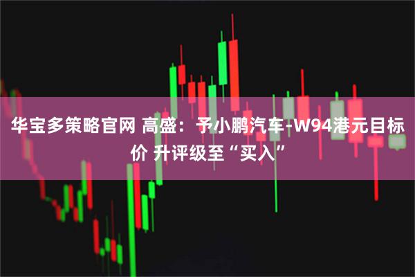 华宝多策略官网 高盛:予小鹏汽车-W94港元目标价 升评级至“买入”