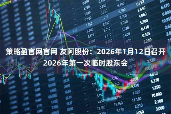 策略盈官网官网 友阿股份：2026年1月12日召开2026年第一次临时股东会