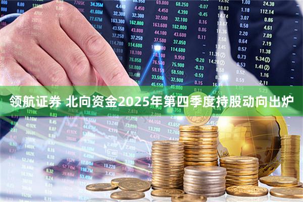 领航证券 北向资金2025年第四季度持股动向出炉