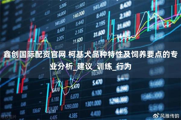 鑫创国际配资官网 柯基犬品种特性及饲养要点的专业分析_建议_训练_行为