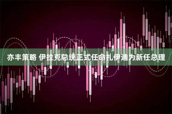 亦丰策略 伊拉克总统正式任命扎伊迪为新任总理